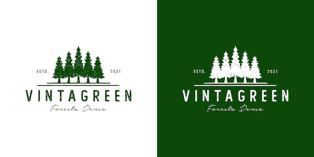 Vector graphic of pine vintage logo