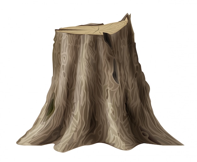 Vector vector graphics. large old tree stump oak broken trunk.