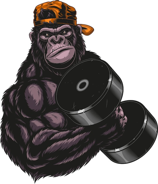 Vector vector graphics severe gorilla athlete performs an exercise with dumbbells for biceps