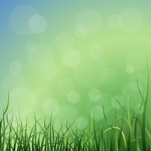 Vector vector grass background