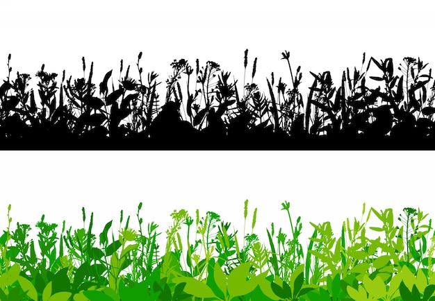 Vector vector grass borders set isolated on white background