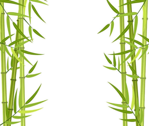 Vettore gambi di bambù verde di vettore