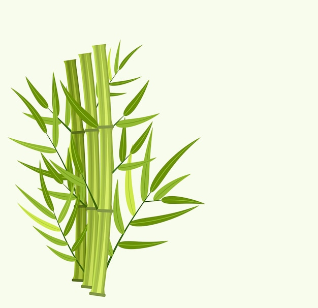 Vector vector green bamboo stems