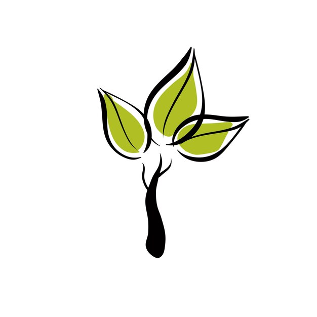 Vector green eco tree icon.