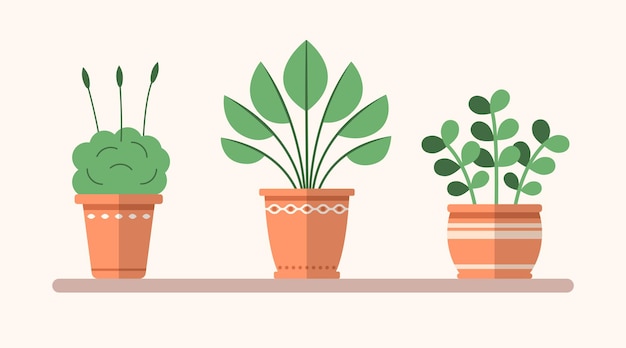 Vector vector green flat plants in pots on the shelf simple interior illustration