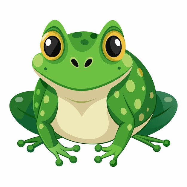 vector a green frog on white background
