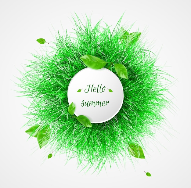 Vector green grass Hello summer banner