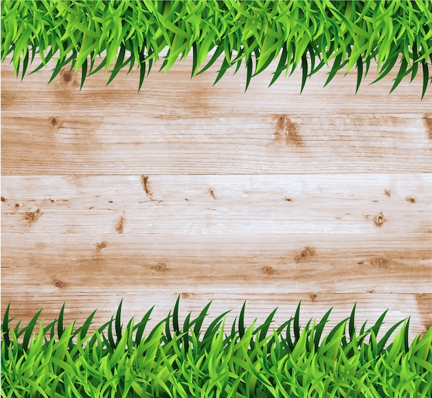 Vector vector green grass on wood texture background