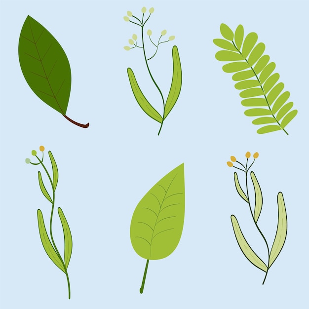 Vector green leaf flat illustration