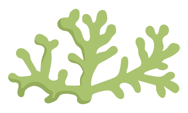 Vector green seaweeds icon under the sea illustration with cute fucus ocean plant clipart cartoon underwater or marine clip art for children isolated on white backgroundxa