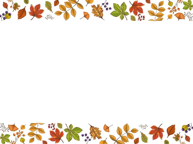 Vector Grens BloemenIlustratie