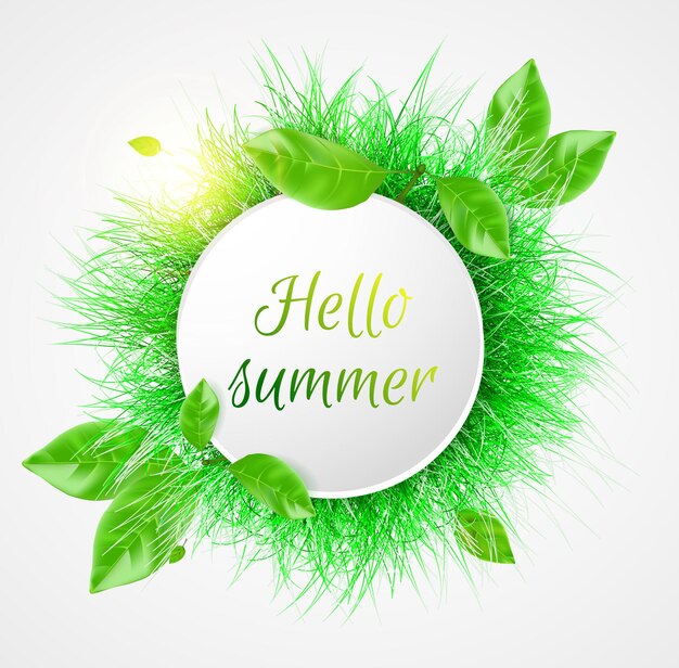 Vector groen gras hallo zomer banner