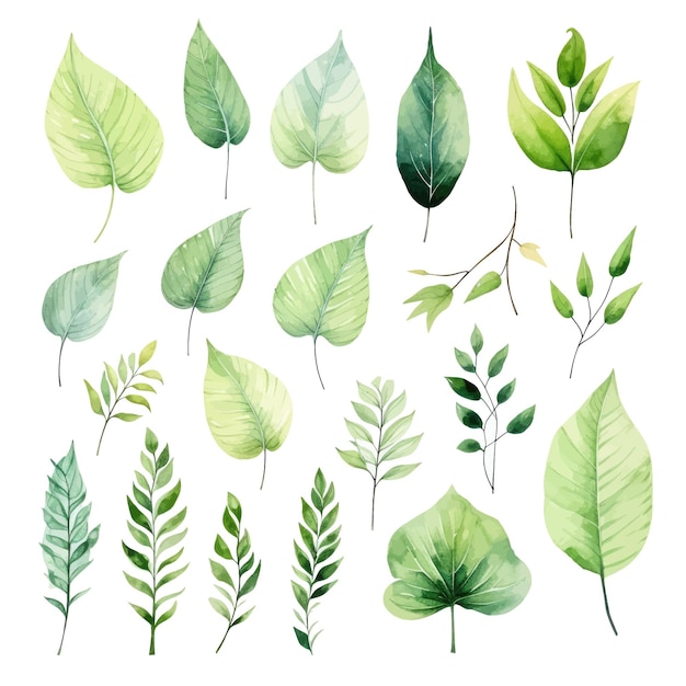 vector groene bladeren vector aquarel set