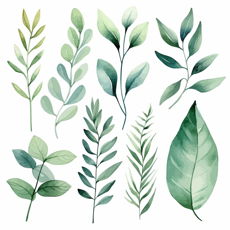 Vector vector groene bladeren vector aquarel set