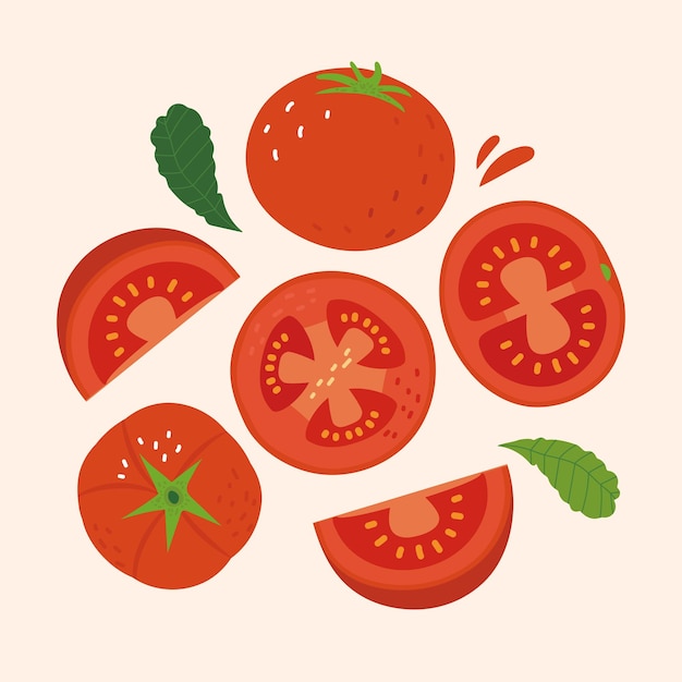 Vector groente tomaten elementen set