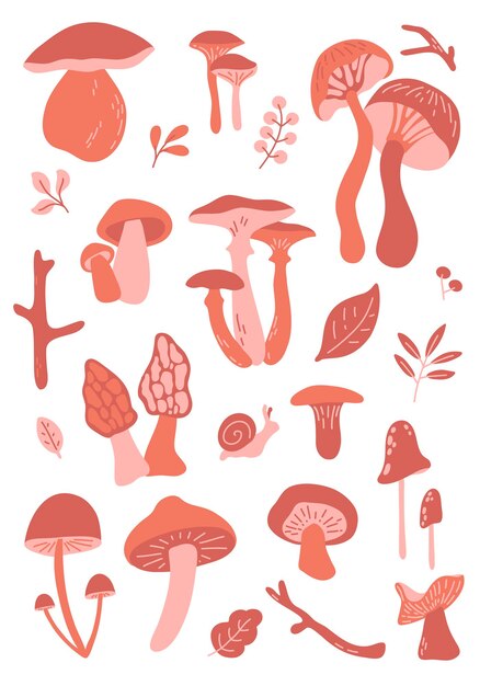 Vector vector grote poster met eetbare en niet-eetbare paddenstoelen bladeren slak tak herfst bos stickers