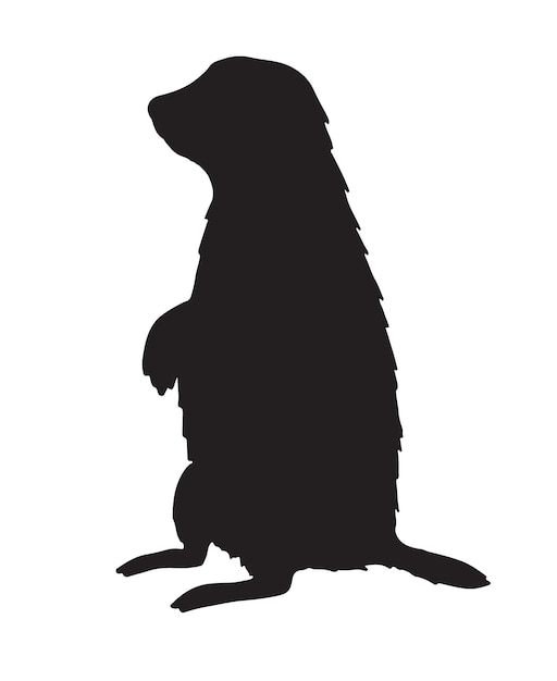 Vector groundhog marmot silhouette