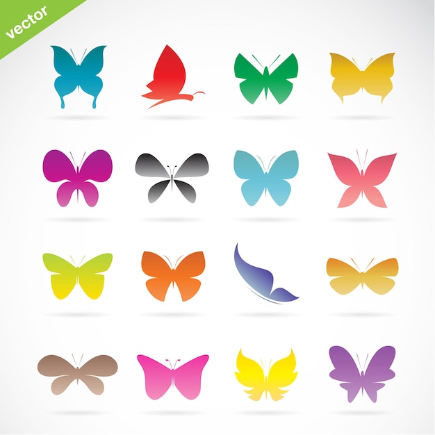 Gruppo vettoriale di farfalle colorate su sfondo bianco