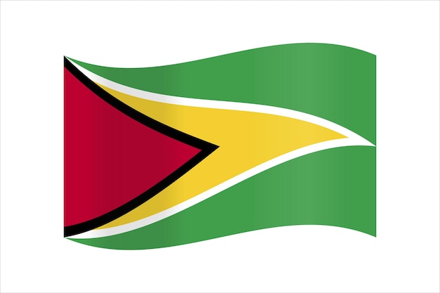 Vector Guyana flag background illustration texture