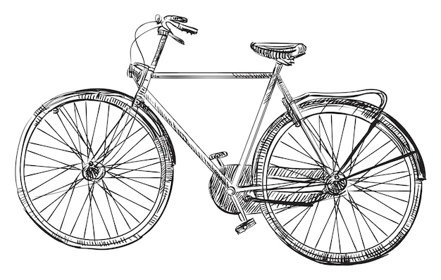 Vector hand drawin bicycle, illustration in black color isolated on white background.