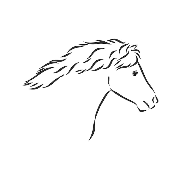 Вектор рука рисунок пони, изолированные на белом фоне, пони лошадь, векторные иллюстрации эскиз