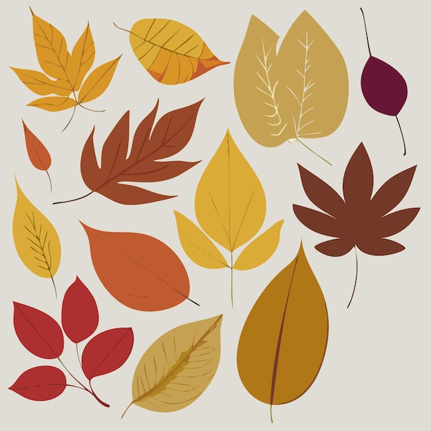 Vettore collezione vettoriale di foglie d'autunno disegnate a mano