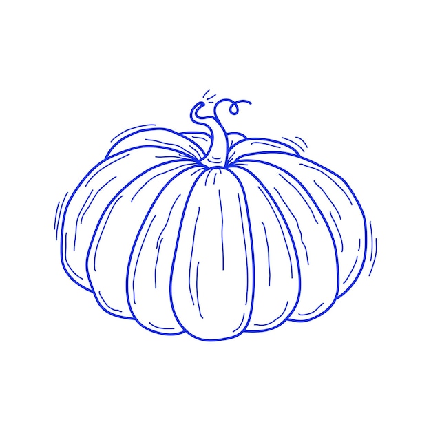 Vector hand drawn blue sketch of round pumpkin isolated on white background