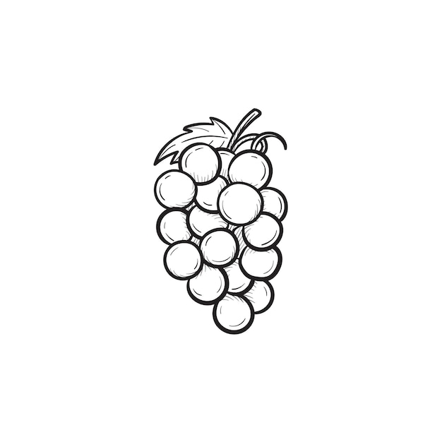 Вектор рисованной гроздь винограда наброски каракули значок. Гроздь винограда эскиза иллюстрации для печати, Интернета, мобильных устройств и инфографики, изолированные на белом фоне.