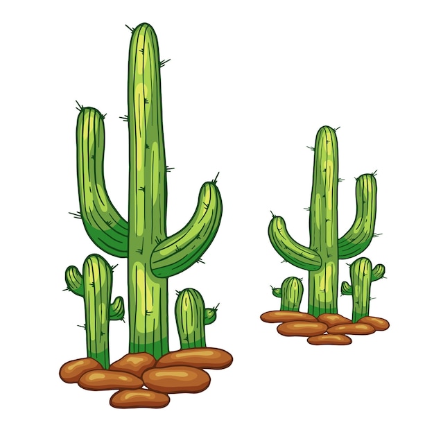 Векторный ручной рисунок кактуса, изолированный на белом. Иллюстрация в мультяшном стиле. Мексиканский кактус. Колючие растения пустыни.