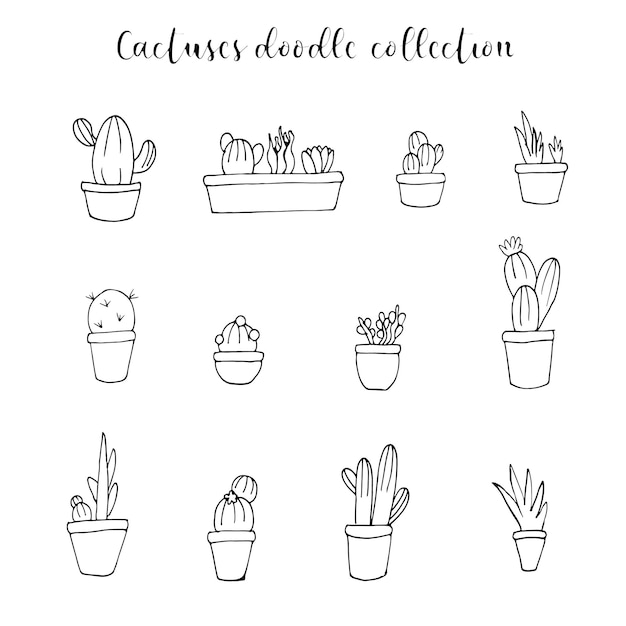 Vettore collezione di icone di doodle di vettore disegnato a mano di cactus e fiori