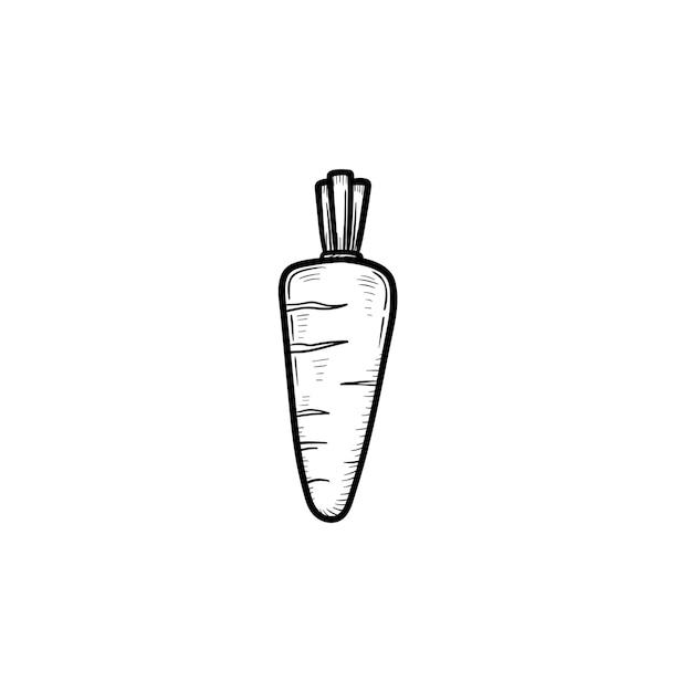 Vector hand drawn carrot outline doodle icon. Food sketch illustration for print, web, mobile and infographics isolated on white background.