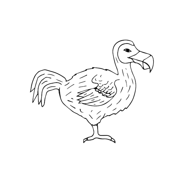 Uccello del dodo disegnato a mano di vettore