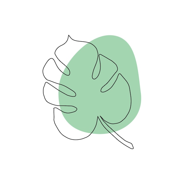 Vector hand drawn doodle green monstera leaf