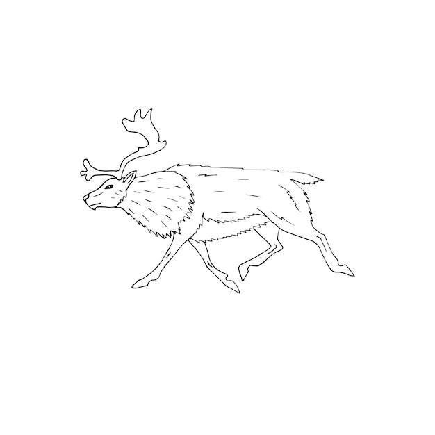 Vector hand drawn doodle reindeer silhouette