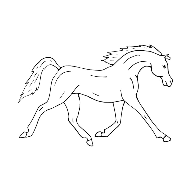 vector hand drawn doodle sketch arabian horse