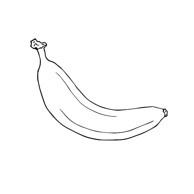 Vettore banana di schizzo di doodle disegnato a mano di vettore