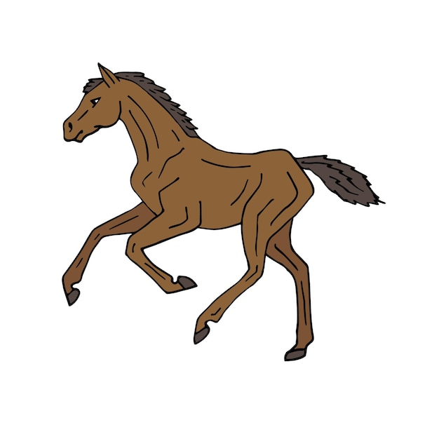 Vector vector hand drawn doodle sketch bay horse foal