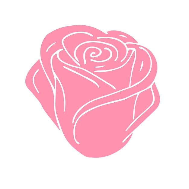 Vector hand drawn doodle sketch color rose flower