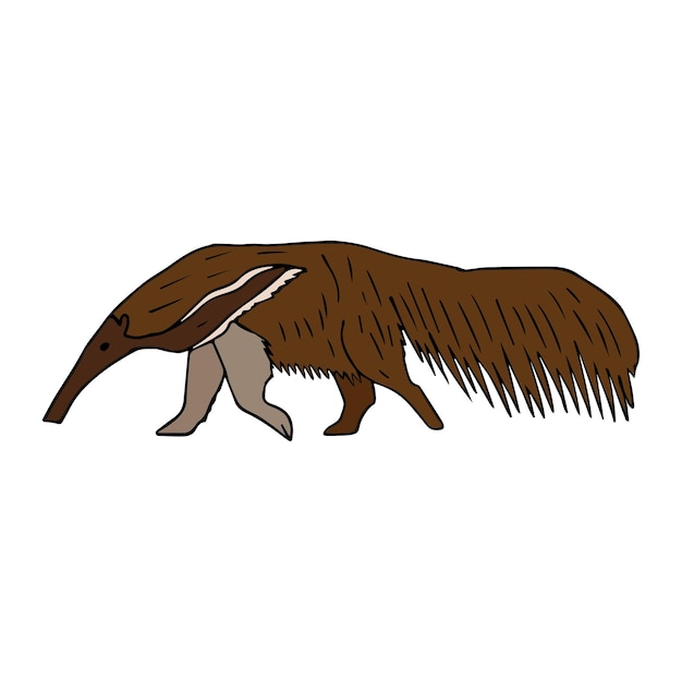 Vector vector hand drawn doodle sketch colored anteater