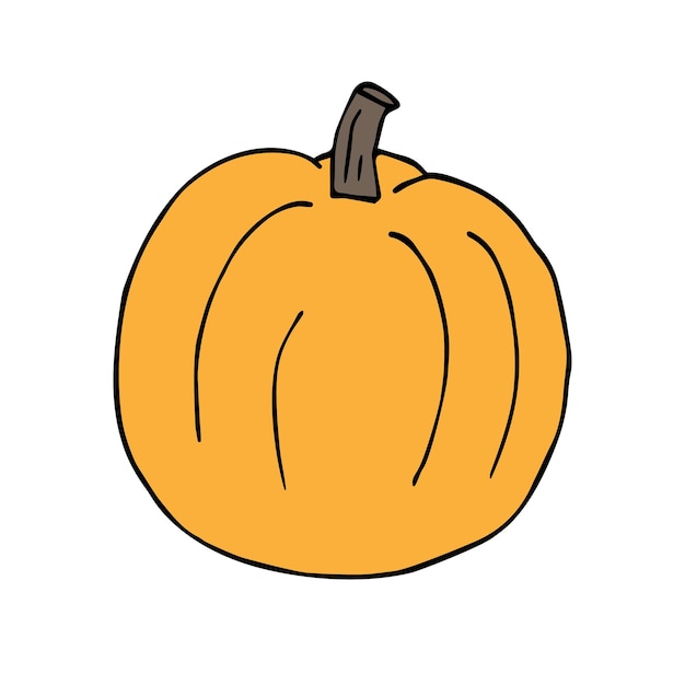 Vector hand drawn doodle sketch colored pumpkin