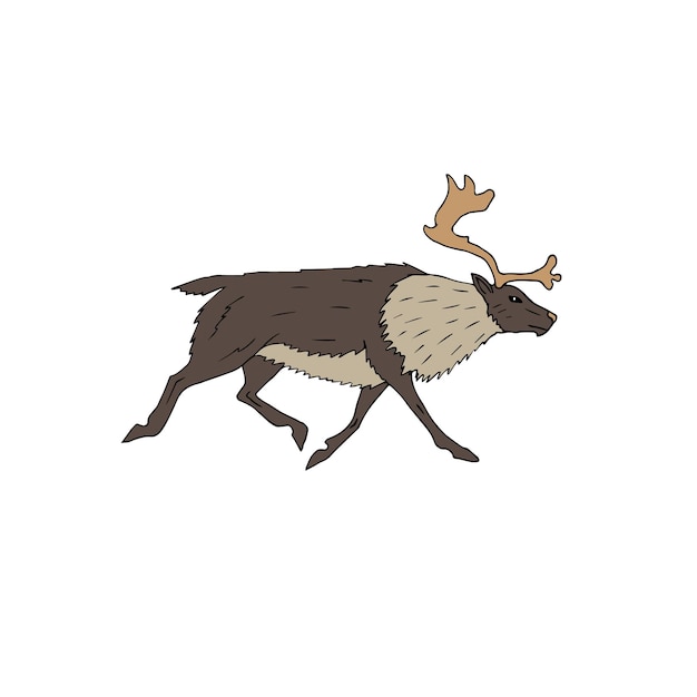 Vector hand drawn doodle sketch colored reindeer