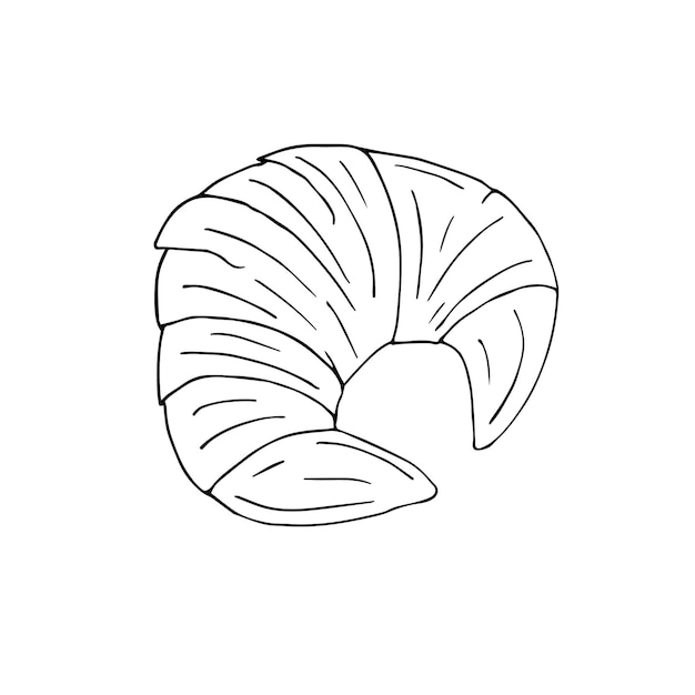 Vector hand drawn doodle sketch croissant