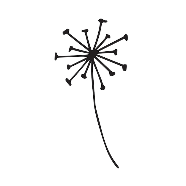 Vector hand drawn doodle sketch dandelion