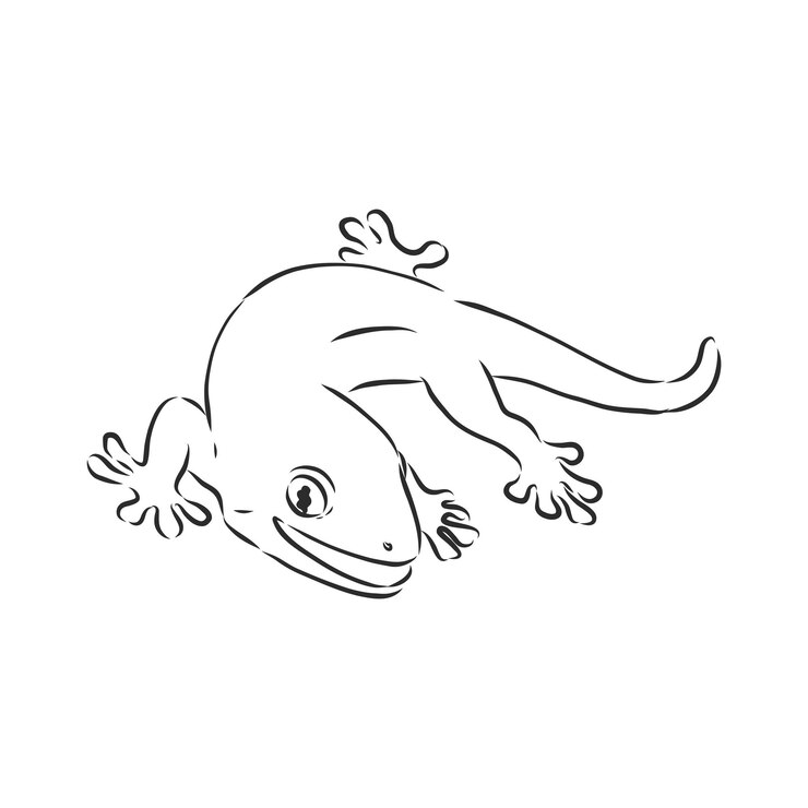 Premium Vector | Vector hand drawn doodle sketch gecko lizard isolated