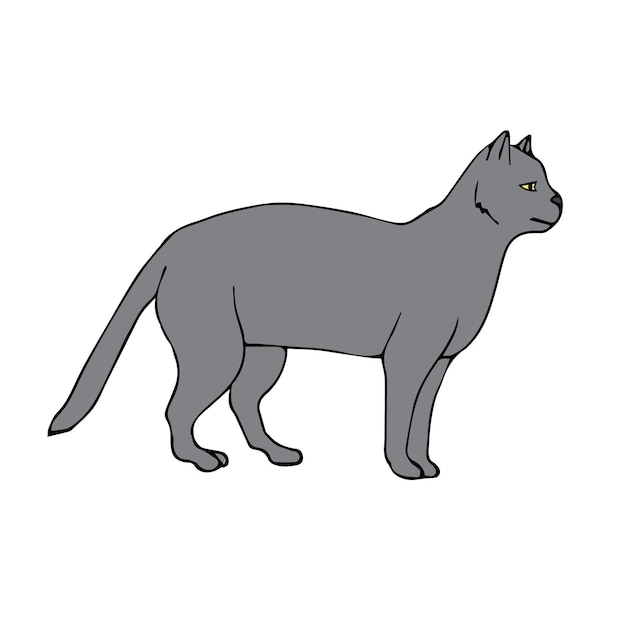 Vector hand drawn doodle sketch gray colored cat