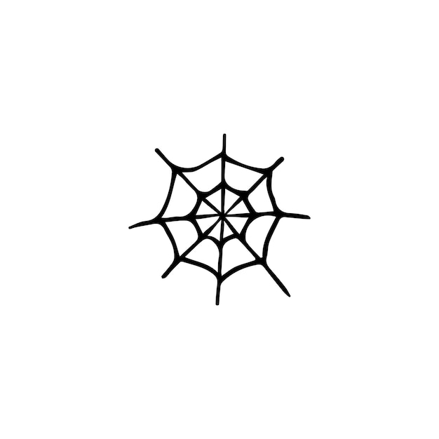 Vector hand drawn doodle sketch spider web