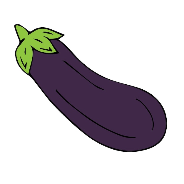 Vector hand drawn eggplant