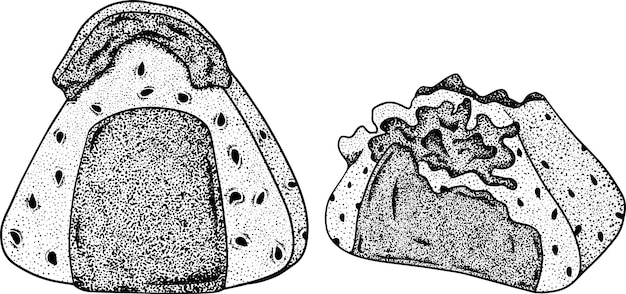 Vettore illustrazione disegnata a mano degli alimenti a rapida preparazione di vettore.