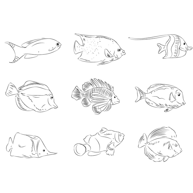 Vector Hand Drawn Fish