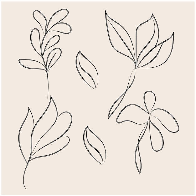 Vector vector hand drawn flat design simple flower outline